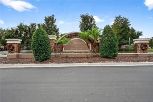 18916 RANDALL PLACE, LAND O LAKES, FL 34638 - MLS#MFRTB8456241