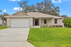 12038 SAN ANGELA DRIVE, SAN ANTONIO, FL 33576 - MLS#MFRTB8456243