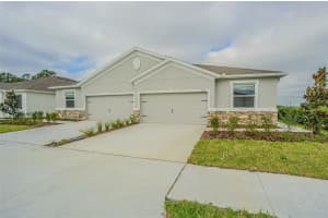 31423 PAPER BIRCH STREET, WESLEY CHAPEL, FL 33545 - MLS#MFRTB8456248
