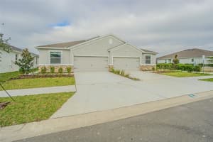 31423 PAPER BIRCH STREET, WESLEY CHAPEL, FL 33545 - MLS#MFRTB8456248