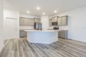 31423 PAPER BIRCH STREET, WESLEY CHAPEL, FL 33545 - MLS#MFRTB8456248