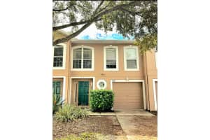 4607 Ashburn Square Dr, TAMPA 4607 Ashburn Square Dr, TAMPA