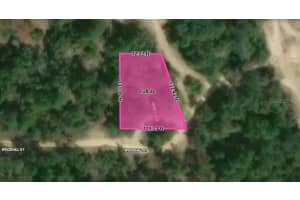 2702 WOODHILL STREET, INVERNESS, FL 34452 - MLS#MFRTB8456270