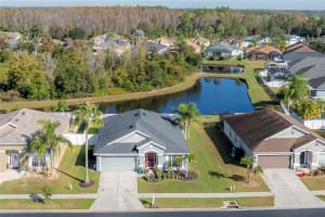 31203 HANNIGAN PLACE, WESLEY CHAPEL, FL 33543 - MLS#MFRTB8456279