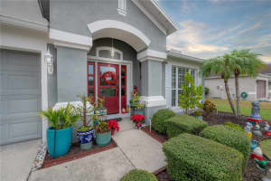 31203 HANNIGAN PLACE, WESLEY CHAPEL, FL 33543 - MLS#MFRTB8456279