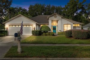 4906 Willow Ridge Ter, VALRICO