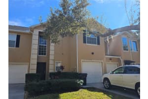 6213 ASHBURY PALMS DRIVE, TAMPA, FL 33647 - MLS#MFRTB8456300