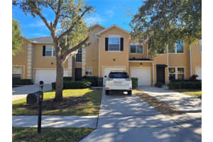 6213 ASHBURY PALMS DRIVE, TAMPA, FL 33647 - MLS#MFRTB8456300