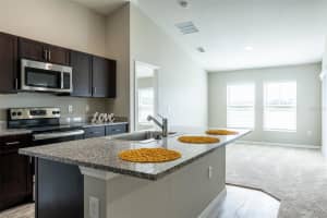 12951 TWIN BRIDGES DRIVE, RIVERVIEW, FL 33579 - MLS#MFRTB8456324