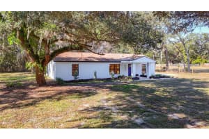 3551 OAKWOOD DRIVE, WESLEY CHAPEL, FL 33543 - MLS#MFRTB8456330