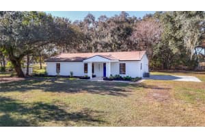 3551 OAKWOOD DRIVE, WESLEY CHAPEL, FL 33543 - MLS#MFRTB8456330