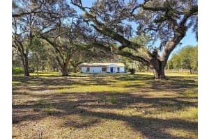 3551 OAKWOOD DRIVE, WESLEY CHAPEL, FL 33543 - MLS#MFRTB8456330