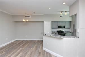 9088 LAKE CHASE ISLAND WAY, TAMPA, FL 33626 - MLS#MFRTB8456334