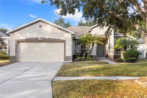 10903 HOLLY CONE DRIVE, RIVERVIEW, FL 33569 - MLS#MFRTB8456335