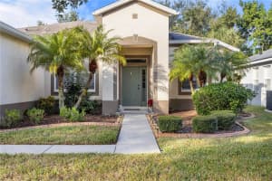 10903 HOLLY CONE DRIVE, RIVERVIEW, FL 33569 - MLS#MFRTB8456335