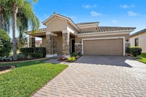 11851 FROST ASTER DRIVE, RIVERVIEW, FL 33579 - MLS#MFRTB8456337