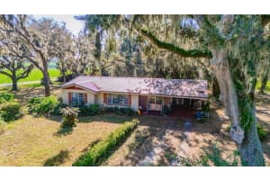 415 HAL COLDING ROAD, LITHIA, FL 33547 - MLS#MFRTB8456370
