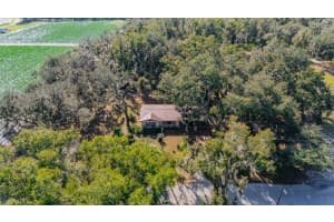 415 HAL COLDING ROAD, LITHIA, FL 33547 - MLS#MFRTB8456370