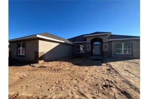 37298 HIDDEN VIEW, DADE CITY, FL 33523 - MLS#MFRTB8456386