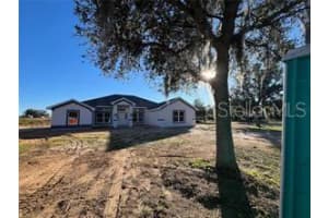 37041 HIDDEN VIEW CIRCLE, DADE CITY, FL 33523 - MLS#MFRTB8456391