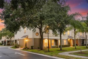 10144 Arbor Run Dr #31, TAMPA