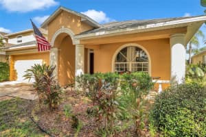 12308 Adventure Dr, RIVERVIEW