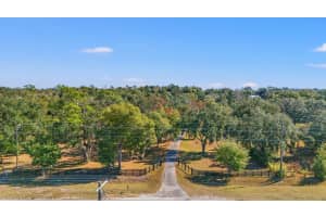 12414 FORT KING ROAD, DADE CITY, FL 33525 - MLS#MFRTB8456427