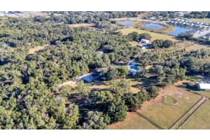 12459 FORT KING ROAD, DADE CITY, FL 33525 - MLS#MFRTB8456439