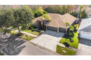 12310 SEABROOK DRIVE, TAMPA, FL 33626 - MLS#MFRTB8456445
