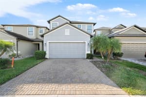 1217 BALLARD GREEN PLACE, BRANDON, FL 33511 - MLS#MFRTB8456457