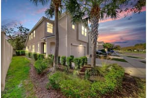 11733 Weathered Felling Dr, RIVERVIEW