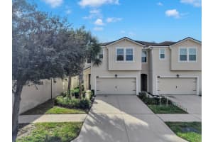 11733 WEATHERED FELLING DRIVE, RIVERVIEW, FL 33569 - MLS#MFRTB8456472