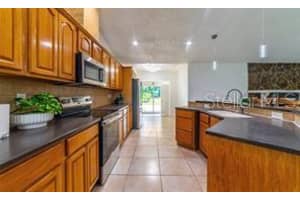 14208 MAYER AVENUE, HUDSON, FL 34669 - MLS#MFRTB8456475