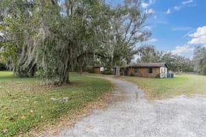 4203 STANLEY ROAD, PLANT CITY, FL 33565 - MLS#MFRTB8456514