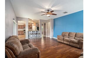 2411 BIRDS EYE COURT, RUSKIN, FL 33570 - MLS#MFRTB8456551