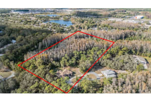 1925 SCHAER WAY, ODESSA, FL 33556 - MLS#MFRTB8456584