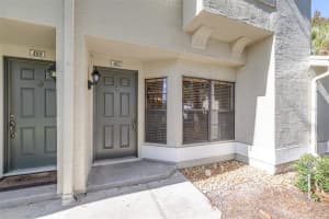 5100 BURCHETTE ROAD, TAMPA, FL 33647 - MLS#MFRTB8456585