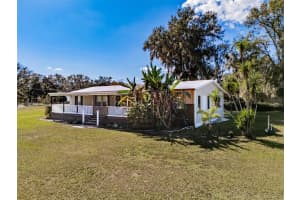 18832 DORMAN ROAD, LITHIA, FL 33547 - MLS#MFRTB8456618