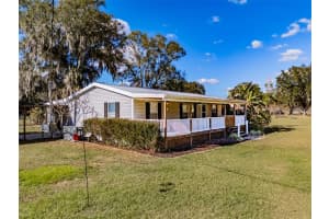 18832 DORMAN ROAD, LITHIA, FL 33547 - MLS#MFRTB8456618