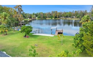 15912 WILLOWDALE ROAD, TAMPA, FL 33625 - MLS#MFRTB8456622