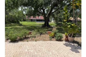3006 BOLT DRIVE, PALM HARBOR, FL 34685 - MLS#MFRTB8456648