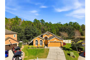 31720 Marchester Dr, WESLEY CHAPEL