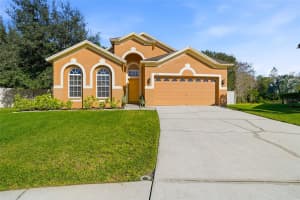 31720 MARCHESTER DRIVE, WESLEY CHAPEL, FL 33543 - MLS#MFRTB8456657
