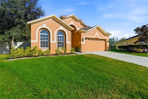 31720 MARCHESTER DRIVE, WESLEY CHAPEL, FL 33543 - MLS#MFRTB8456657