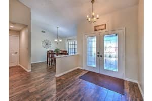 1407 HOLLEMAN DRIVE, VALRICO, FL 33596 - MLS#MFRTB8456668