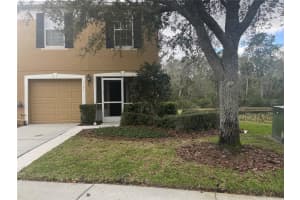 4153 WINDING RIVER WAY, LAND O LAKES, FL 34639 - MLS#MFRTB8456720