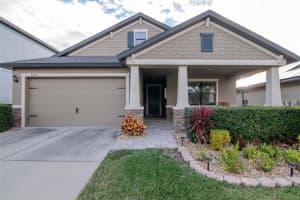 11247 PADDOCK MANOR AVENUE, RIVERVIEW, FL 33569 - MLS#MFRTB8456741