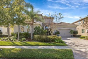30552 Ivy Forge Ct, WESLEY CHAPEL