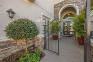 30552 IVY FORGE COURT, WESLEY CHAPEL, FL 33543 - MLS#MFRTB8456766