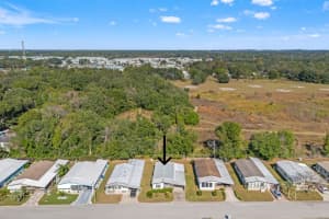 35131 MCCULLOUGHS LEAP, ZEPHYRHILLS, FL 33541 - MLS#MFRTB8456773